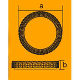 Firefly Functional Decorative LED Ceiling Lamp with remote control (Cleo)